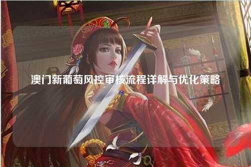 澳门新葡京风控审核流程详解与优化策略