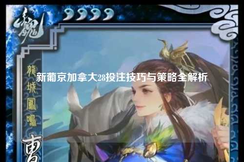 新葡京加拿大28投注技巧与策略全解析