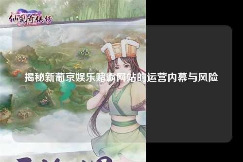 揭秘新葡京娱乐赌霸网站的运营内幕与风险