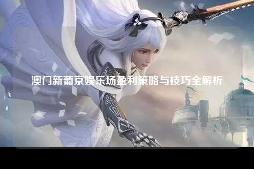 澳门新葡京娱乐场盈利策略与技巧全解析