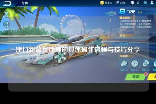 澳门新葡京代理的具体操作流程与技巧分享