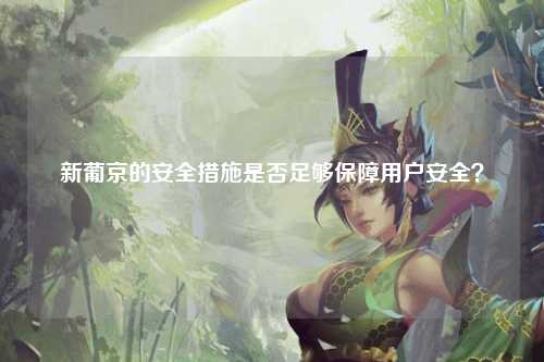 新葡京的安全措施是否足够保障用户安全？