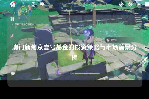 澳门新葡京壹号基金的投资策略与市场前景分析