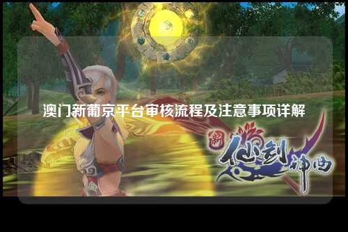 澳门新葡京平台审核流程及注意事项详解
