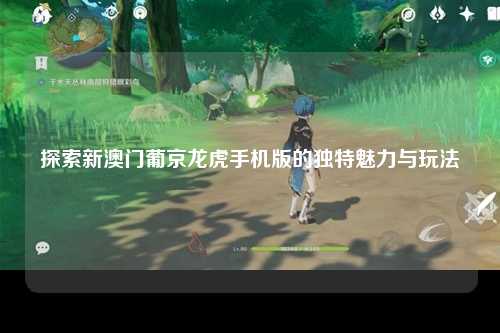 探索新澳门葡京龙虎手机版的独特魅力与玩法