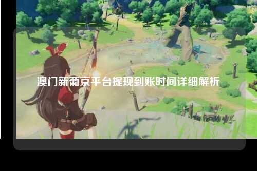澳门新葡京平台提现到账时间详细解析