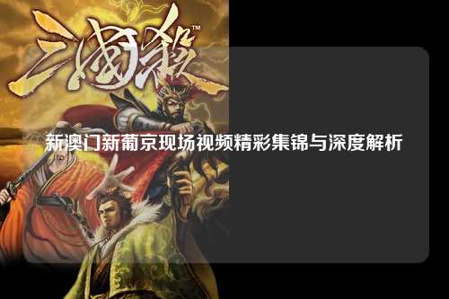 新澳门新葡京现场视频精彩集锦与深度解析