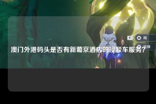 澳门外港码头是否有新葡京酒店的接驳车服务？