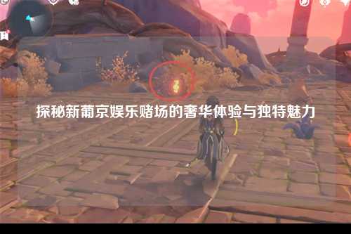 探秘新葡京娱乐赌场的奢华体验与独特魅力
