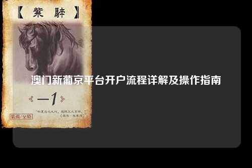 澳门新葡京平台开户流程详解及操作指南