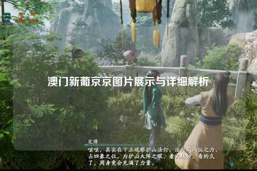澳门新葡京京图片展示与详细解析