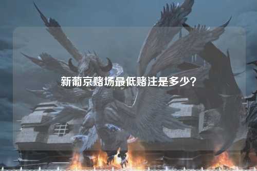新葡京赌场最低赌注是多少？