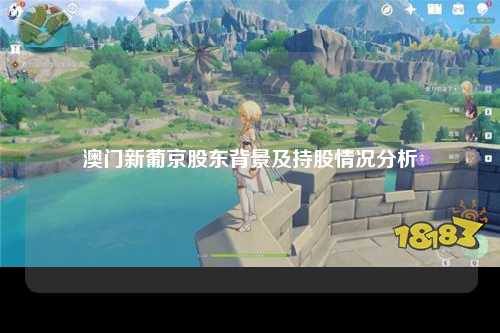 澳门新葡京股东背景及持股情况分析