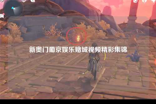 新奥门葡京娱乐赌城视频精彩集锦