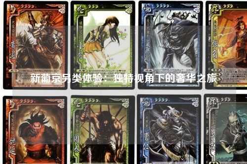 新葡京另类体验：独特视角下的奢华之旅