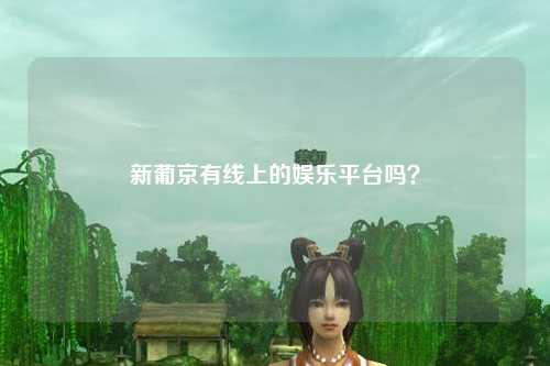 新葡京有线上的娱乐平台吗？