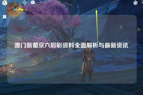 澳门新葡京六后彩资料全面解析与最新资讯