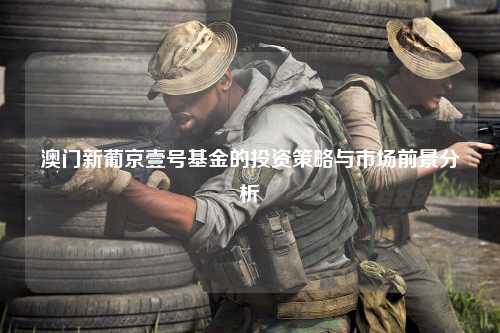 澳门新葡京壹号基金的投资策略与市场前景分析