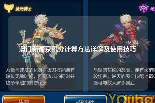 澳门新葡京积分计算方法详解及使用技巧