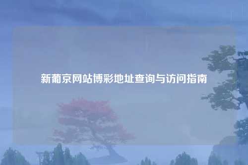 新葡京网站博彩地址查询与访问指南