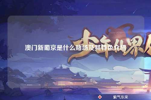 澳门新葡京是什么赌场及其特色介绍