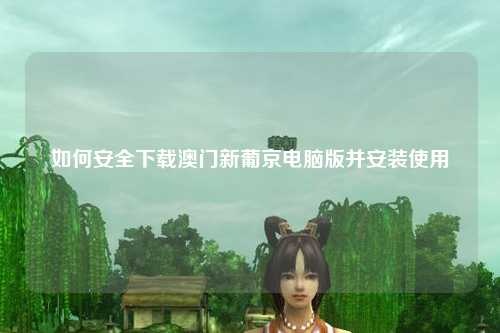 如何安全下载澳门新葡京电脑版并安装使用