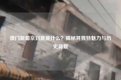 澳门新葡京到底是什么？揭秘其独特魅力与历史背景