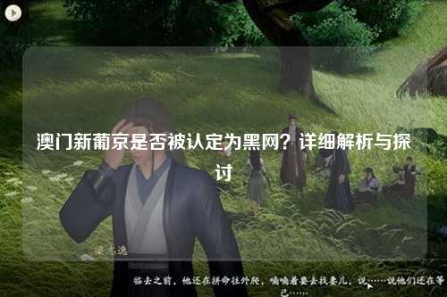 澳门新葡京是否被认定为黑网？详细解析与探讨