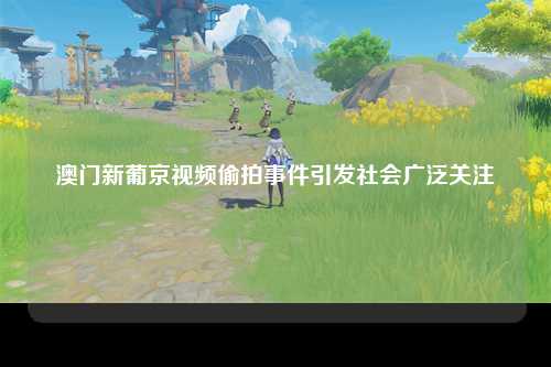 澳门新葡京视频偷拍事件引发社会广泛关注