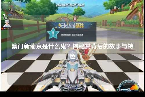 澳门新葡京是什么鬼？揭秘其背后的故事与特色
