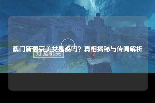 澳门新葡京美女是鸡吗？真相揭秘与传闻解析