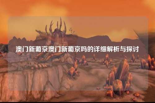 澳门新葡京澳门新葡京吗的详细解析与探讨