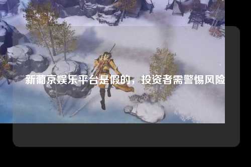 新葡京娱乐平台是假的，投资者需警惕风险
