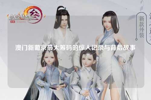 澳门新葡京最大筹码的惊人记录与背后故事