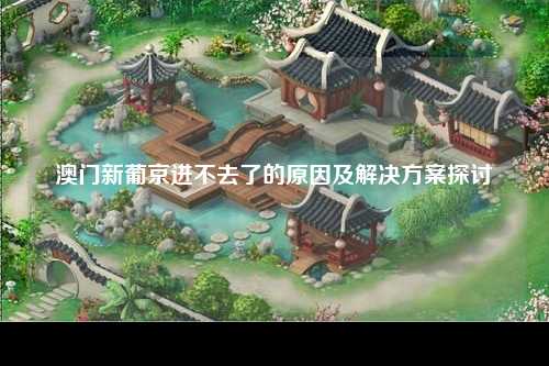 澳门新葡京进不去了的原因及解决方案探讨