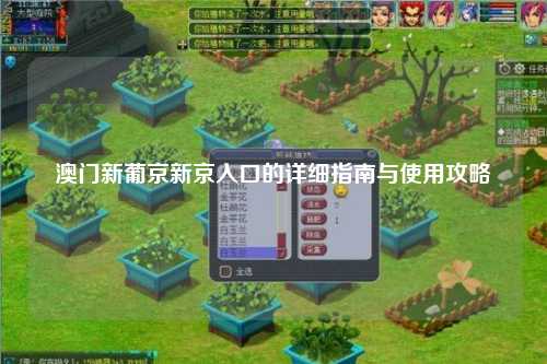澳门新葡京新京入口的详细指南与使用攻略