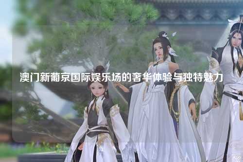 澳门新葡京国际娱乐场的奢华体验与独特魅力