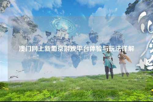 澳门网上新葡京游戏平台体验与玩法详解