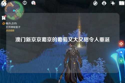 澳门新京京葡京的葡萄又大又甜令人垂涎