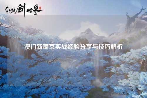 澳门新葡京实战经验分享与技巧解析
