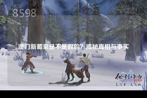 澳门新葡京是不是假的？揭秘真相与事实