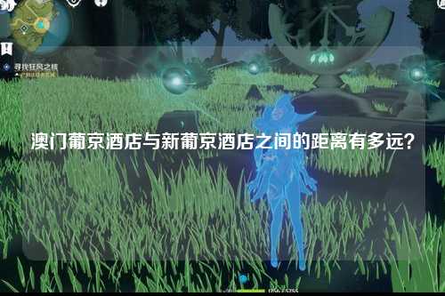 澳门葡京酒店与新葡京酒店之间的距离有多远？