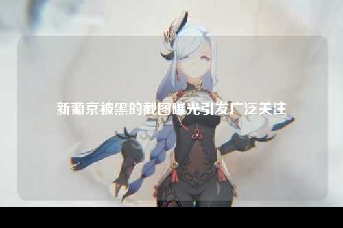 新葡京被黑的截图曝光引发广泛关注