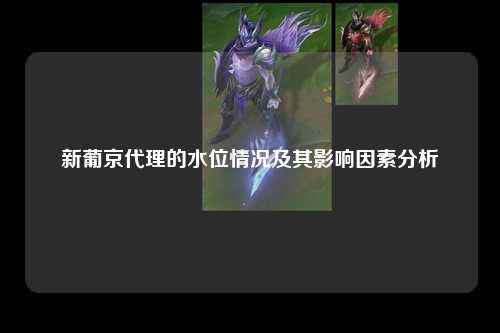 新葡京代理的水位情况及其影响因素分析