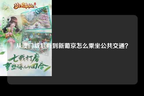 从澳门威尼斯到新葡京怎么乘坐公共交通？