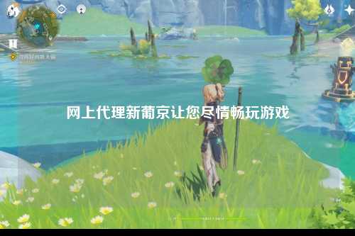 网上代理新葡京让您尽情畅玩游戏