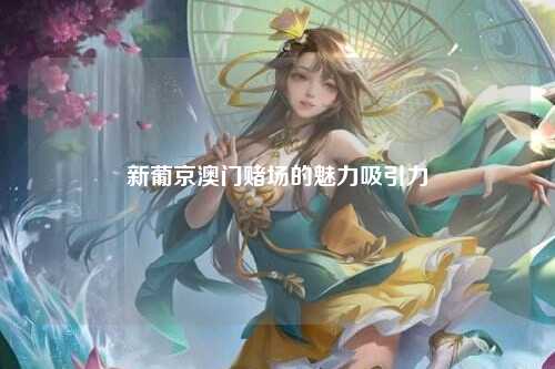 新葡京澳门赌场的魅力吸引力