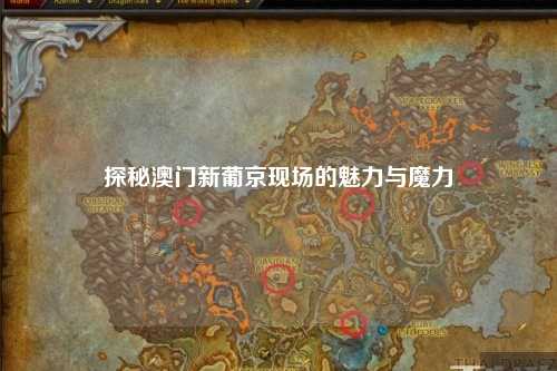 探秘澳门新葡京现场的魅力与魔力