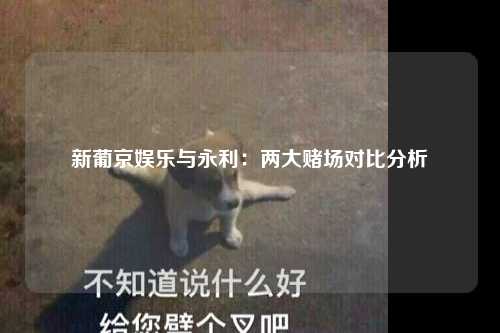 新葡京娱乐与永利：两大赌场对比分析