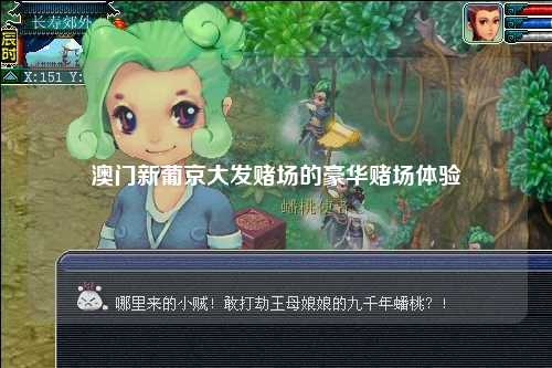 澳门新葡京大发赌场的豪华赌场体验